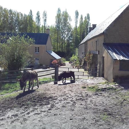 Gite Du Jardin Des Sources Villa Vaux-sur-Seulles Екстериор снимка