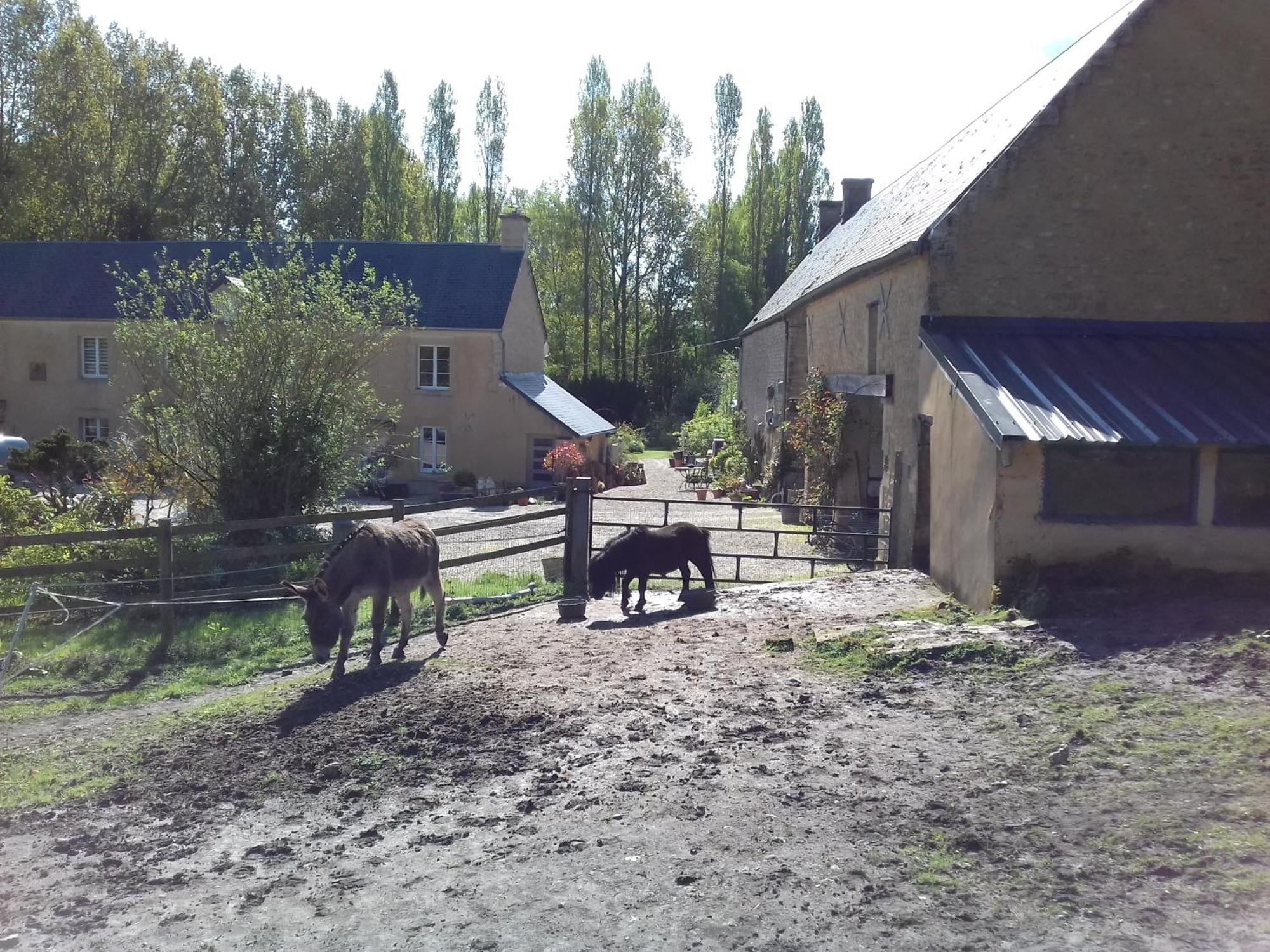 Gite Du Jardin Des Sources Villa Vaux-sur-Seulles Екстериор снимка